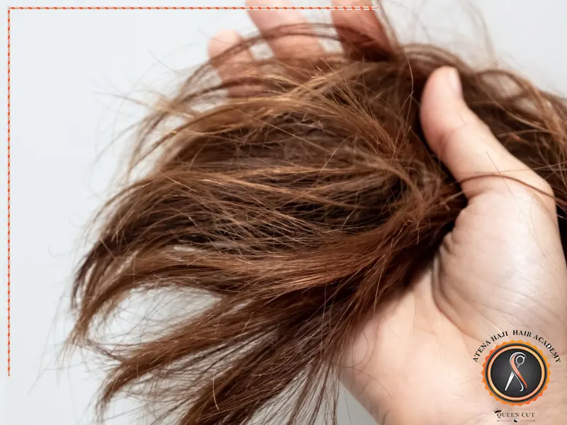 اصول اصلاح نوک مو برای جلوگیری از موخوره